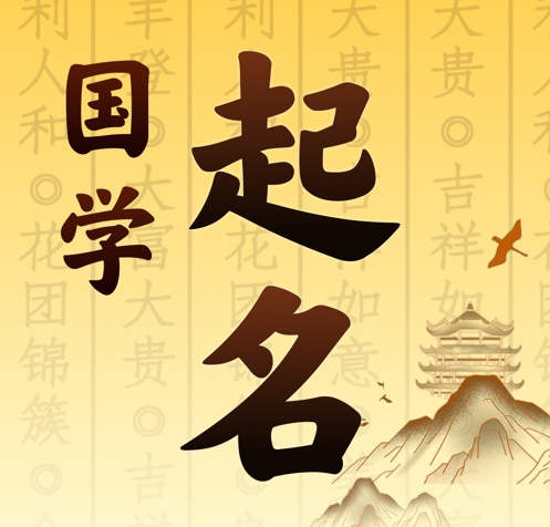 菏泽市国学起名 人工起名一对一